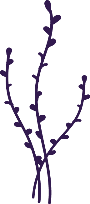 Dianna DeYoung Abundant Life 