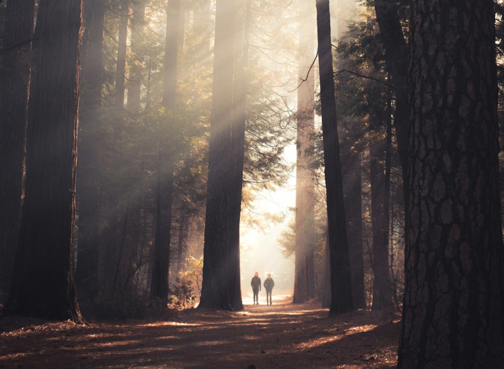 Love produces Obedience. Obedience is Love.