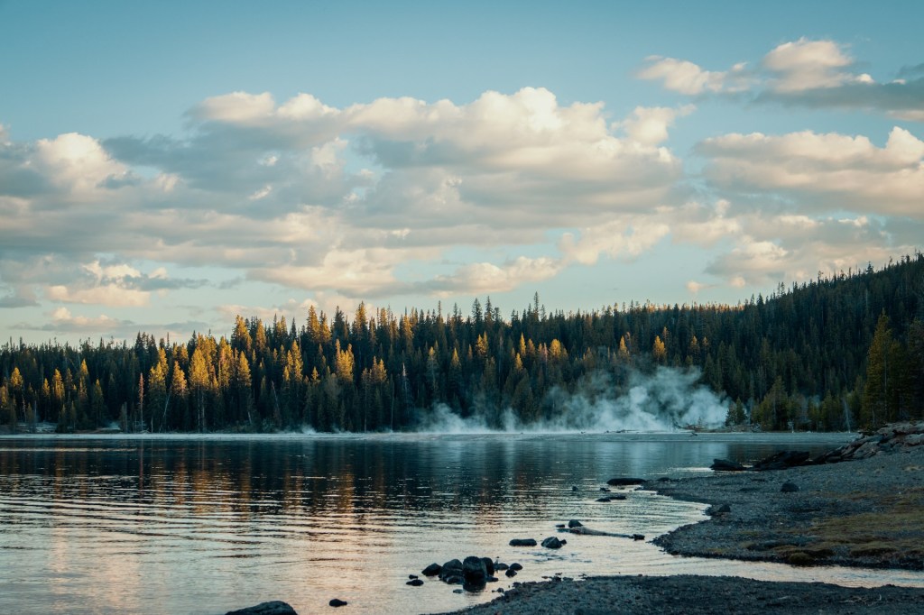 Voice Of Many&nbsp;Waters